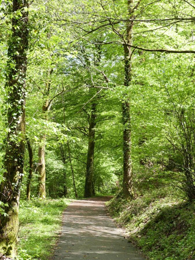 Domaine Des Hameaux Du Lac - Bg Saint-Pardoux-lʼOrtigier Buitenkant foto